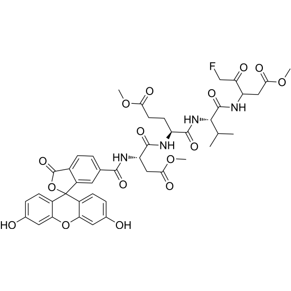 Fluorescein-6-carbonyl-Asp(OMe)-Glu(OMe)-Val-DL-Asp(OMe)-fluoromethylketone 1926